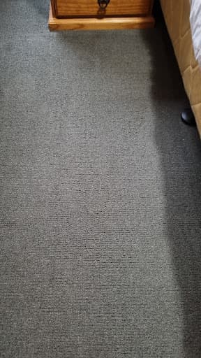 Omega Carpet Cleaning Melbourne — Customer photo