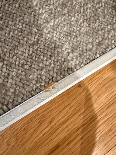 Bond Cleaning in Adelaide — Customer photo