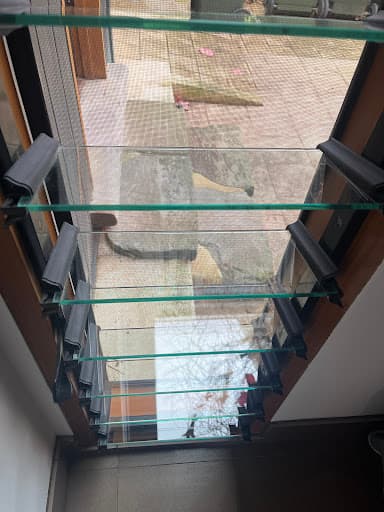 Simple Shine — Customer photo