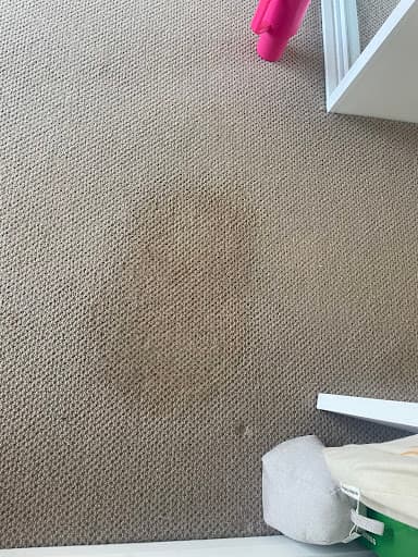 Carpet Tech — Customer photo