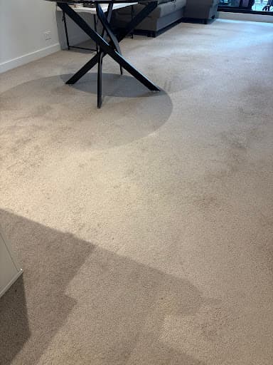 ChemDry Metro Carpet Cleaning Melbourne — Customer photo