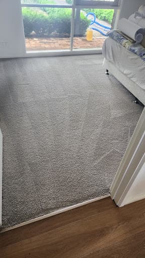 Ronys Carpet Steam Melbourne — Customer photo