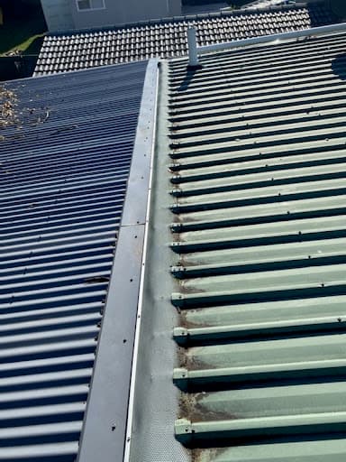 Gutter Goblins Pty Ltd — Customer photo