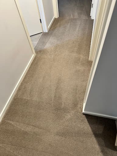 Ronys Carpet Steam Melbourne — Customer photo