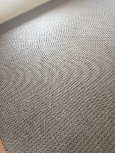 Nice Threads Carpet Cleaning — Customer photo