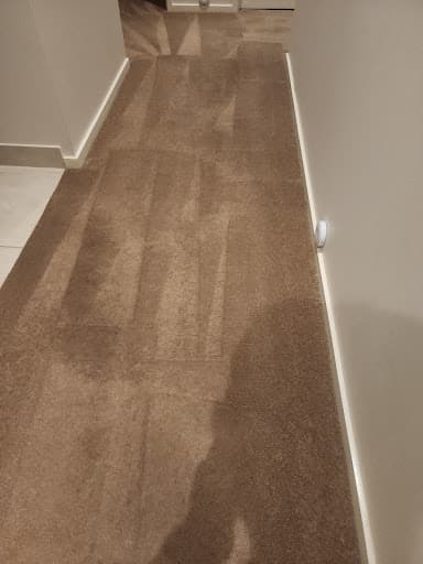 Ronys Carpet Steam Melbourne — Customer photo