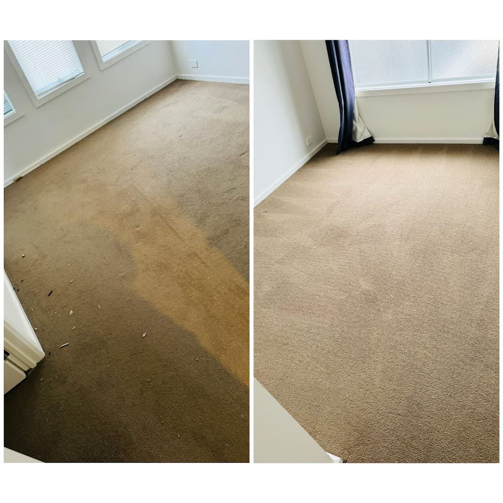 Clean Your Carpets Newcastle - Carpet cleaning Newcastle