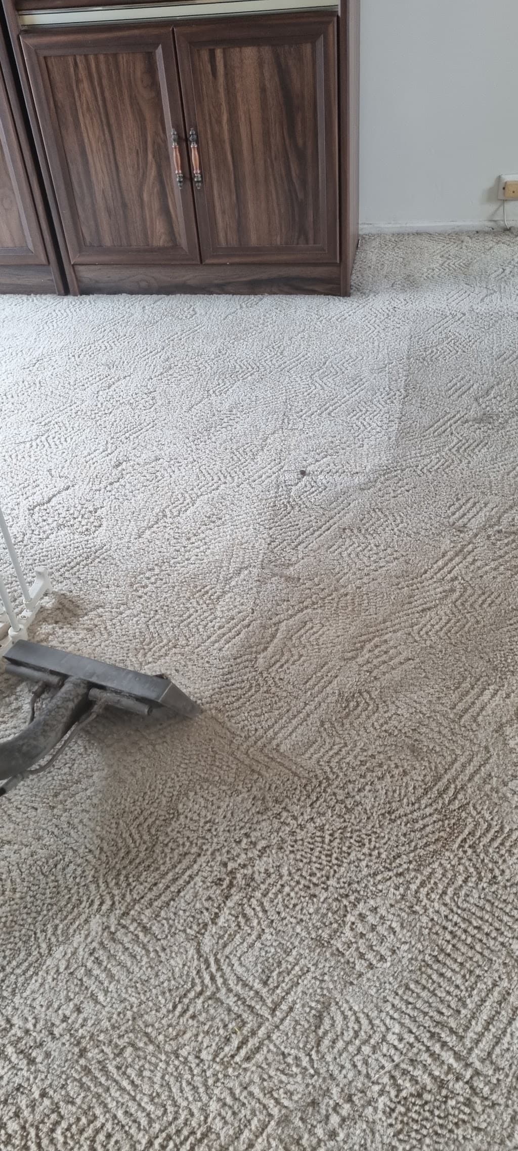 Dial a Carpet Cleaner & Pest Control