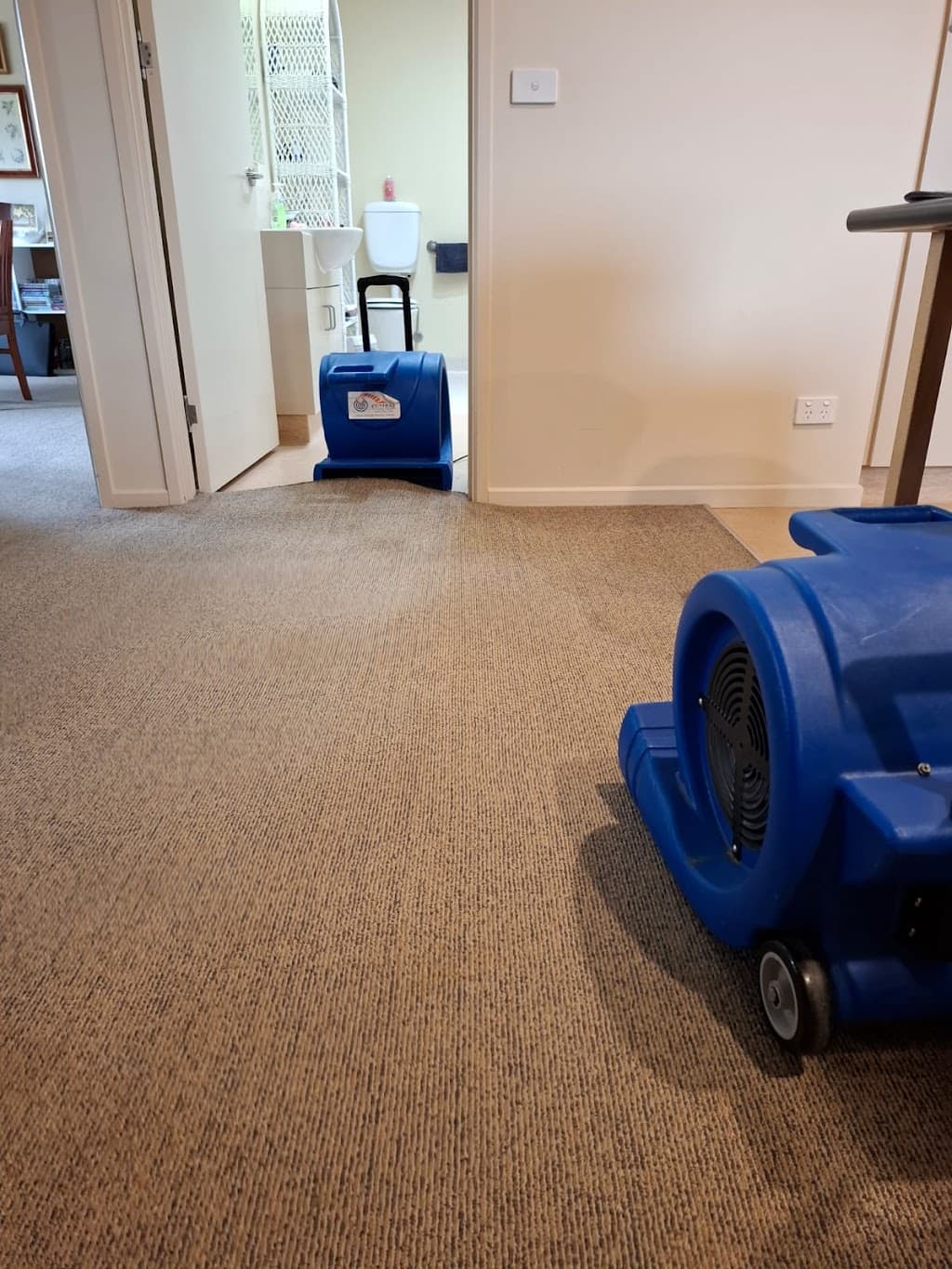 Rapid Dry Carpet Cleaning and Flood Restoration Geelong
