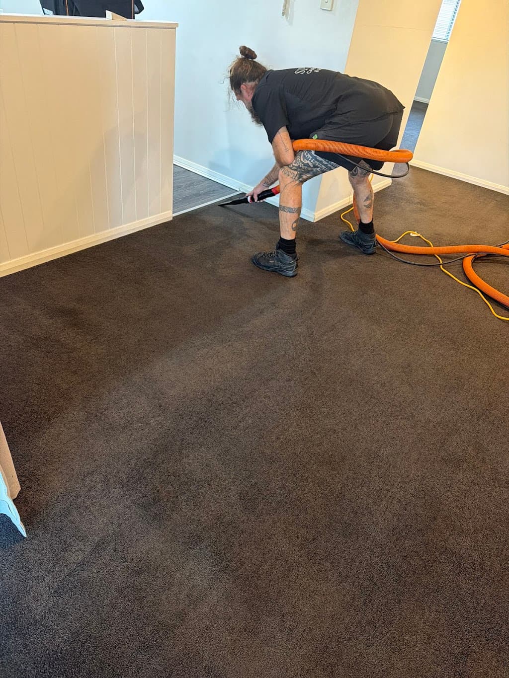 Spartan Carpet Cleaning