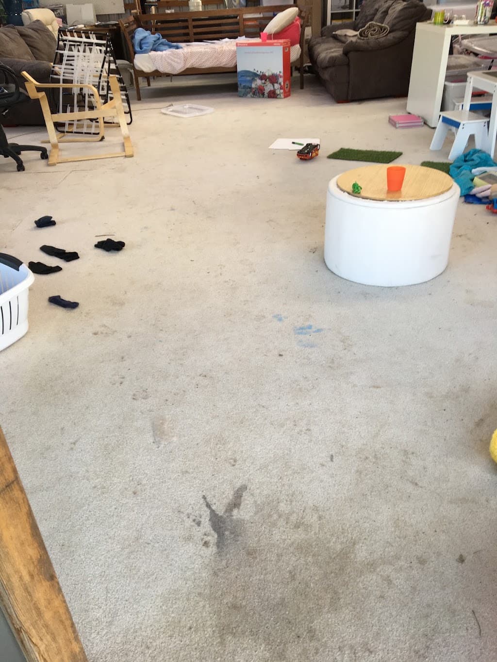 Coastal Carpet and Pest