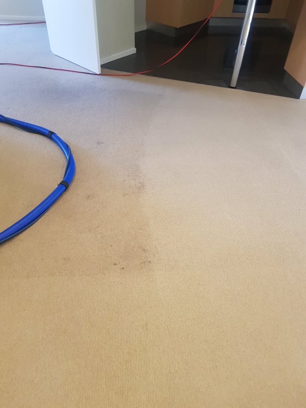 Canberra Carpet Steam Cleaning