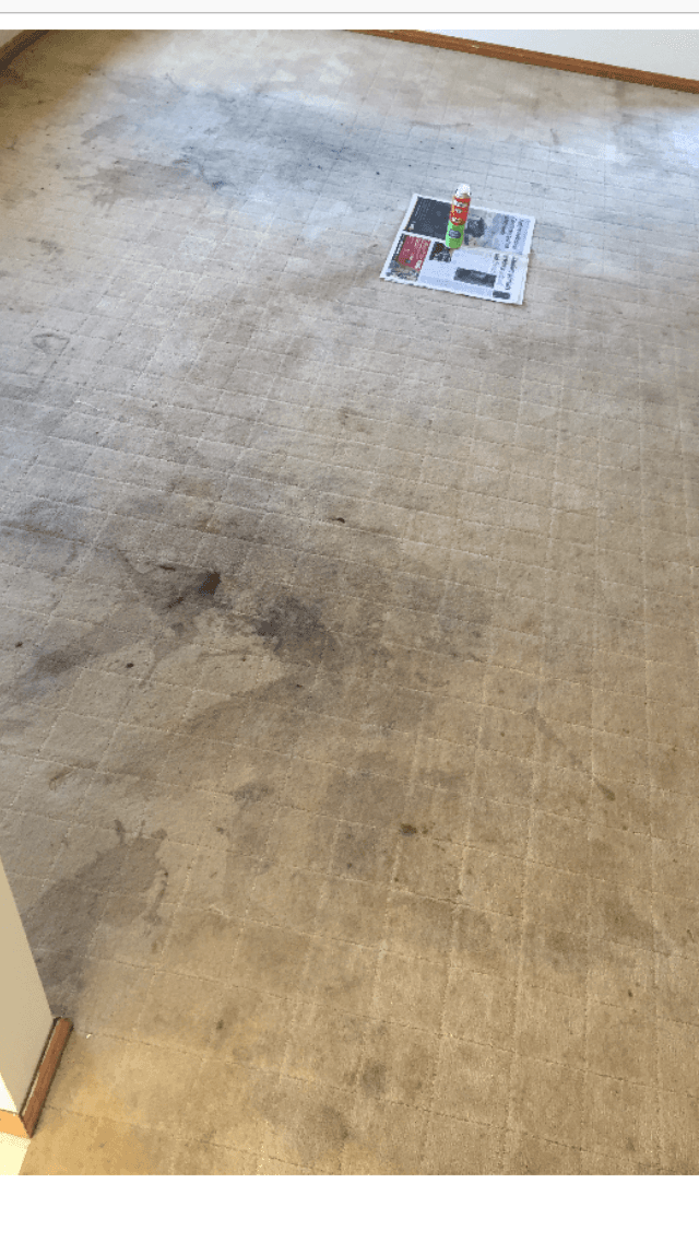 Ballarat Carpet Cleaning