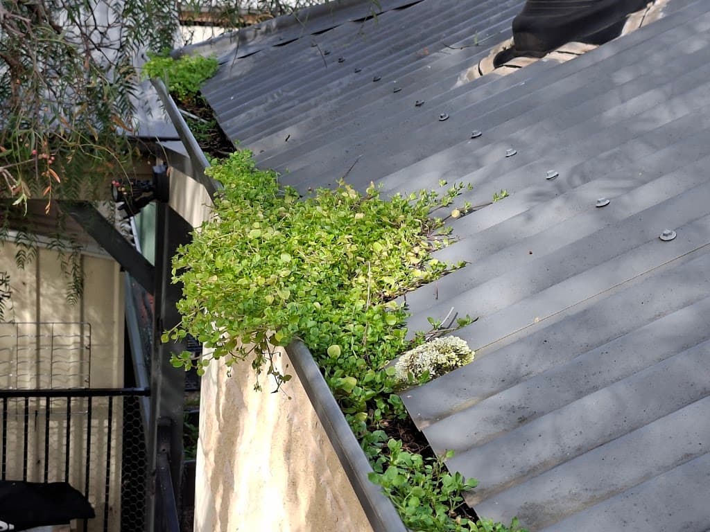 Gutter Cleaning Bendigo Gutter Muncher