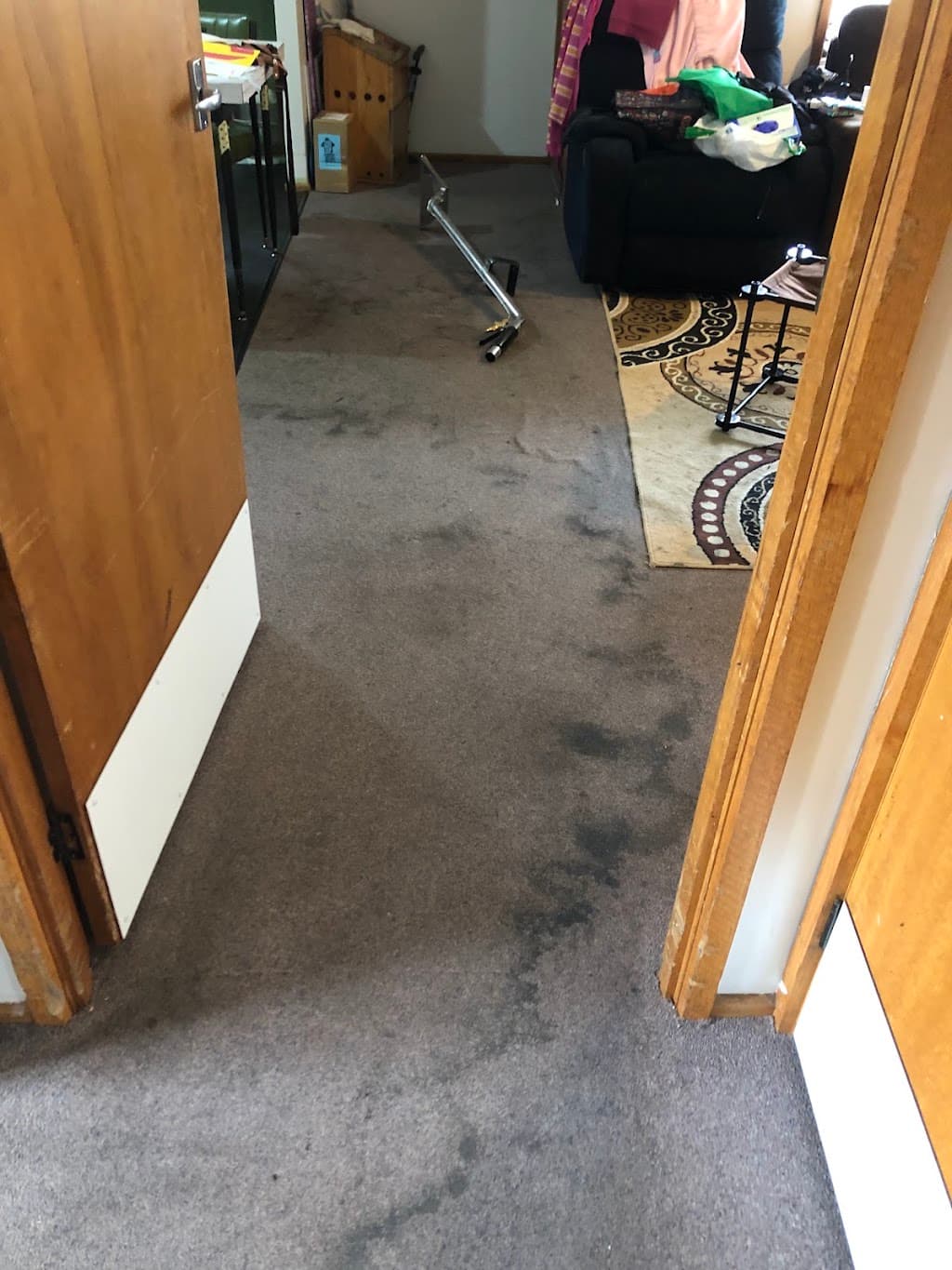 Launie Cleaning & carpet care