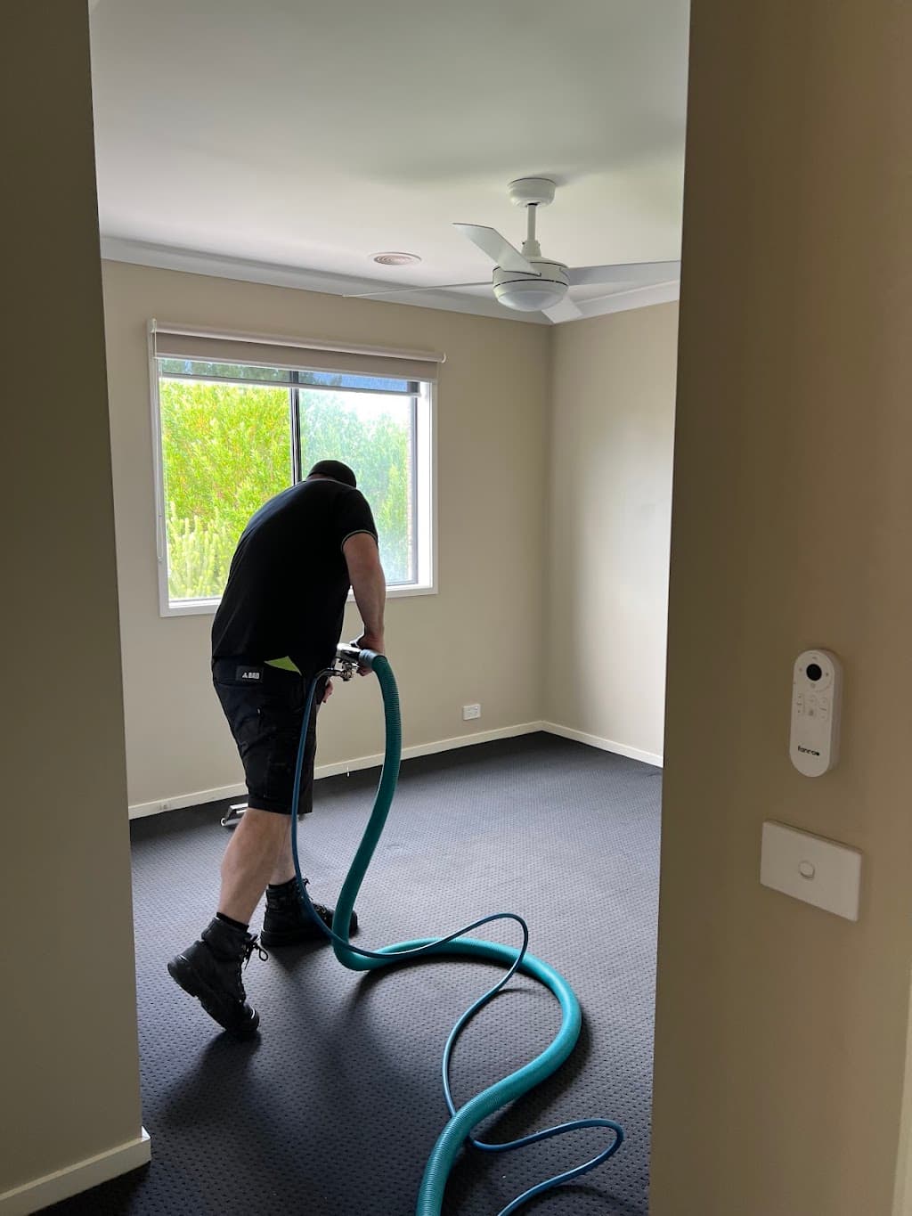 Wow Clean Carpets
