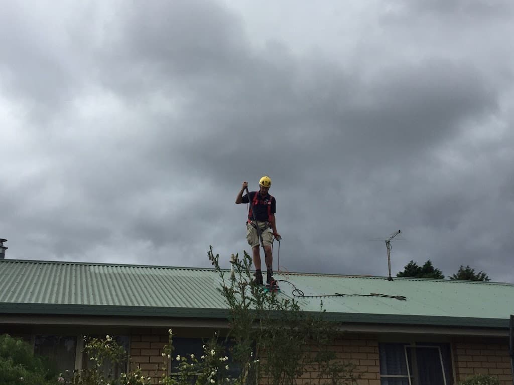 Thompson's Window & Solar Panel Cleaning Services