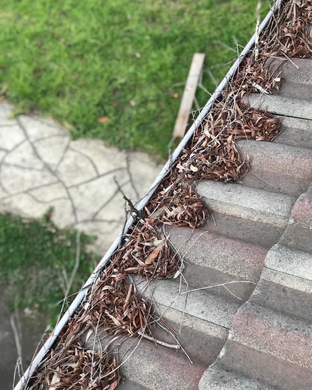 Gutter’s and Co.