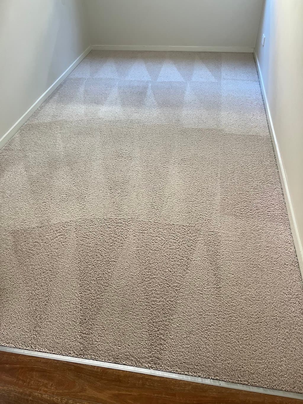 Clean as a Whistle