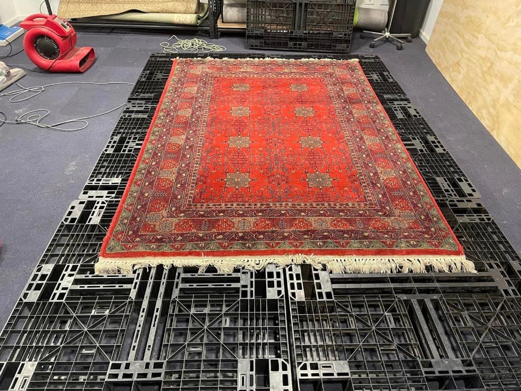 iWash Rugs