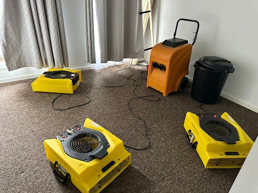 Advanced Floor Care Bendigo — Customer photo