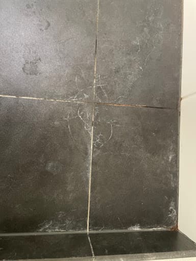 Shine End of Lease Cleaning Geelong — Customer photo