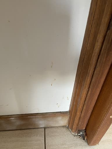 Shine End of Lease Cleaning Geelong — Customer photo