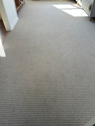 Monster Cleaning Sydney — Customer photo