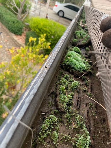 CAPITAL CITY GUTTER CLEANING — Customer photo