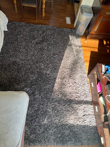 iWash Rugs — Customer photo