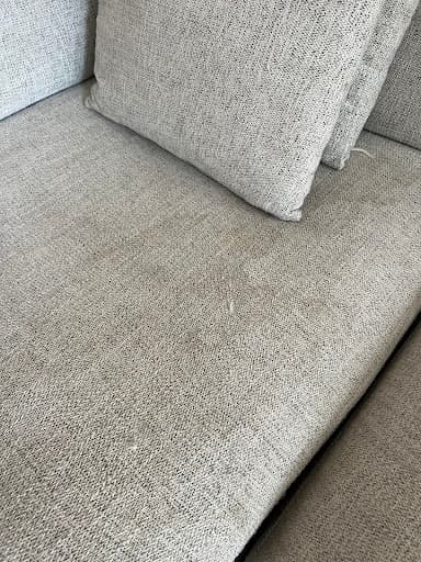 Coast Carpet and Lounge cleaning — Customer photo