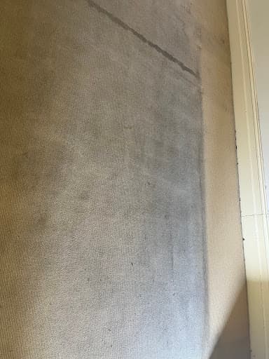 Zig Zag Carpet Cleaning Adelaide — Customer photo