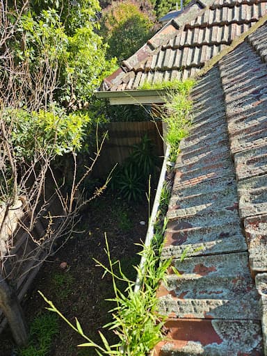 Gutter’s and Co. — Customer photo