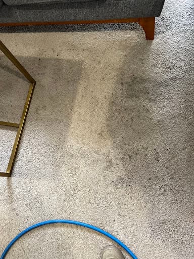 J W Cleaning Services — Customer photo