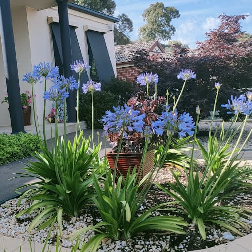 2easy Cleaning Bendigo — Customer photo