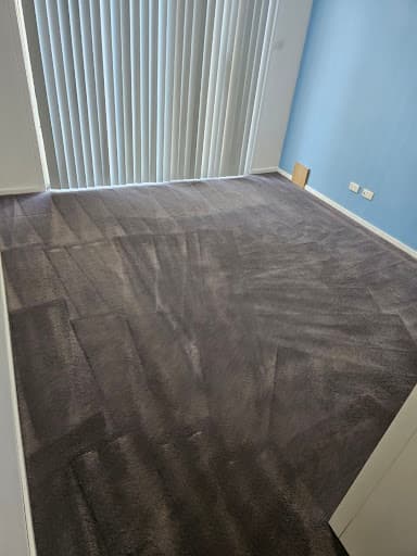 Stain Doctors Carpet Cleaning — Customer photo