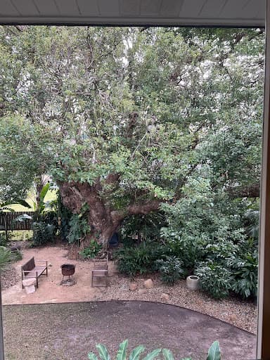 Nick The Window Cleaner — Customer photo
