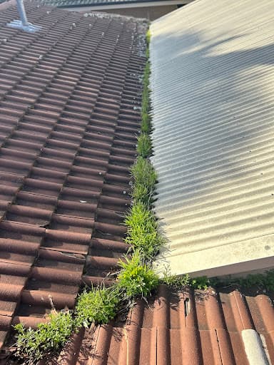 Australian Gutter Cleaning Co. — Customer photo