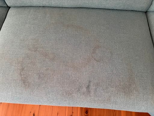 Sydney Steemer Carpet Cleaner — Customer photo