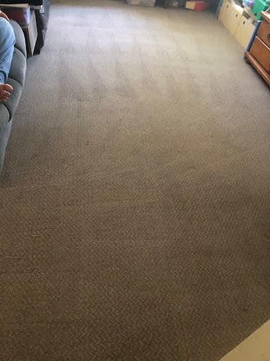 Focused On Cleaning — Customer photo
