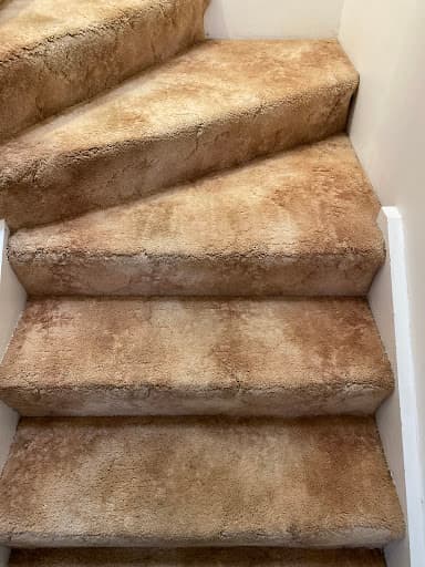 The Carpet Surgeon Gold Coast — Customer photo