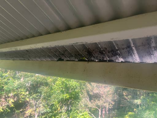 Gutter-Vac Sunshine Coast — Customer photo