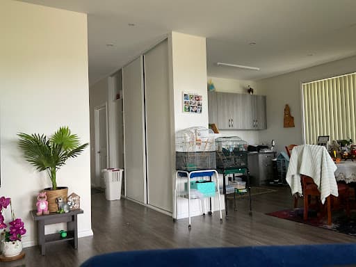 Electrodry Carpet Dry Cleaning Launceston — Customer photo