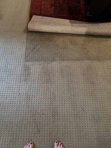Newcastle Carpet & Tile Cleaning - Carpet Cleaning Newcastle — Customer photo