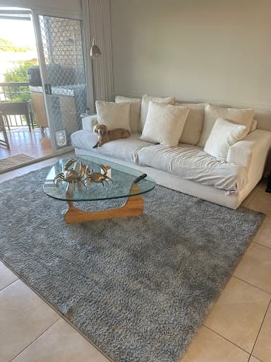 Carpestology Carpet Cleaning Brisbane — Customer photo