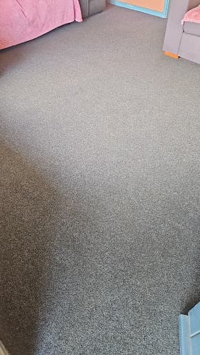 Coast Carpet and Lounge cleaning — Customer photo