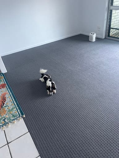 Gold Coast Carpet Cleaning Service — Customer photo