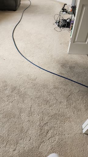 Mr & Mrs Steamer Carpet cleaning - Carpet cleaning Canberra | Upholstery Cleaners Canberra — Customer photo
