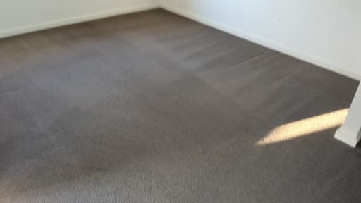 Clean Your Carpets Newcastle - Carpet cleaning Newcastle — Customer photo
