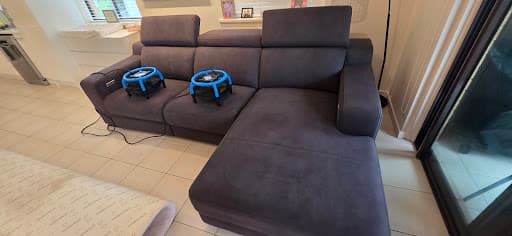 Go Green Carpet Clean. — Customer photo